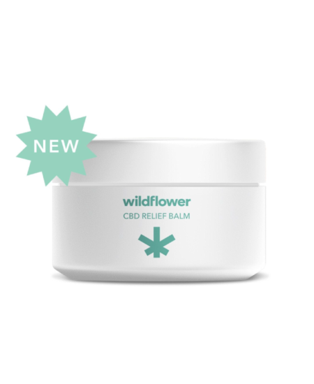 Wildflower CBD Relief Balm (500 mg CBD) 1