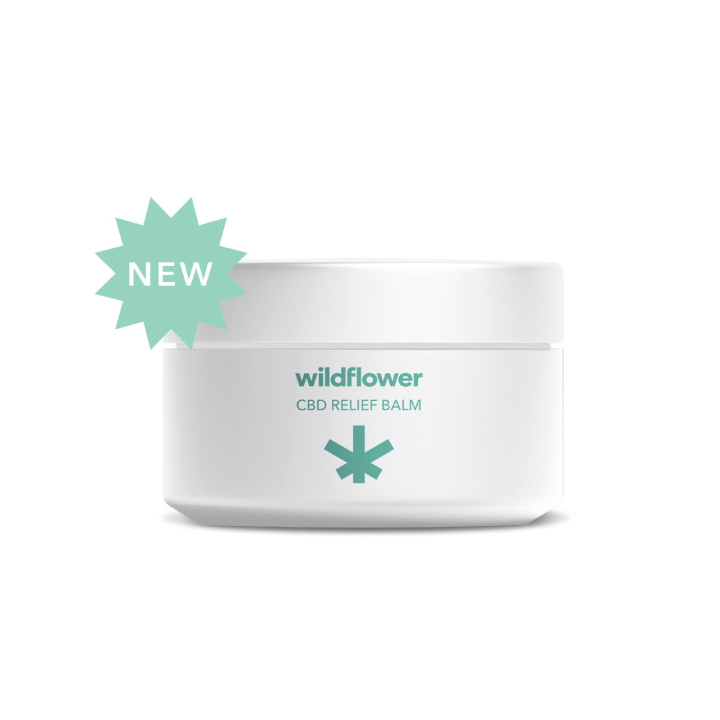 Wildflower CBD Relief Balm (500 mg CBD) 1
